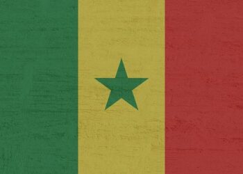 Iliman Ndiaye Makes Waves with Thrilling Move to Manchester City!
