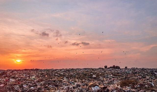 Devastating Landfill Collapse in Conakry: A Community Mourns the Loss of 30 Lives