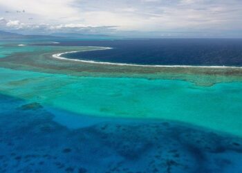 Anti-Independence Coalition Leads New Caledonia Polls, Yet Majority Remains Elusive!