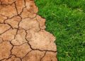 Climate Change Unleashed: Discover How a Warming Planet is Transforming Kenya’s Weather and Future