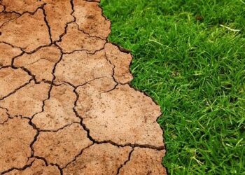 Climate Change Unleashed: Discover How a Warming Planet is Transforming Kenya’s Weather and Future