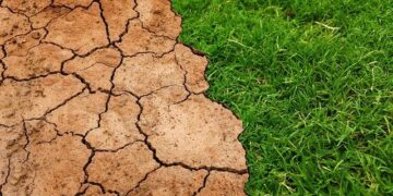 Climate Change Unleashed: Discover How a Warming Planet is Transforming Kenya’s Weather and Future