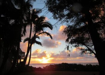 Discovering Norbert: What Awaits Niihau and Your Weekend Weather in Hawaii!