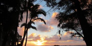 Discovering Norbert: What Awaits Niihau and Your Weekend Weather in Hawaii!