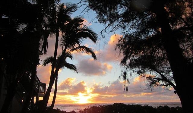 Discovering Norbert: What Awaits Niihau and Your Weekend Weather in Hawaii!