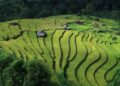 Vietnam’s Bold Leap: Decoding the Strategic Decision to Join BRICS