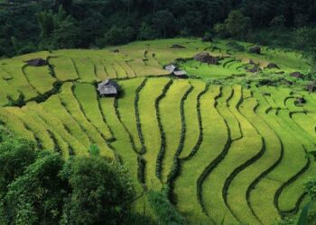 Vietnam’s Bold Leap: Decoding the Strategic Decision to Join BRICS