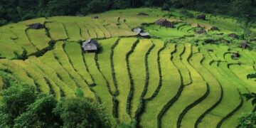 Vietnam’s Bold Leap: Decoding the Strategic Decision to Join BRICS