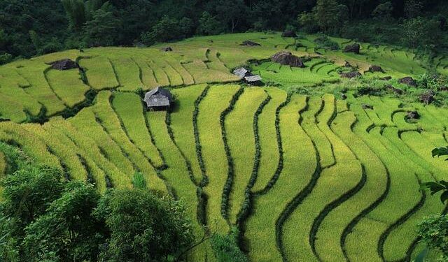 Vietnam’s Bold Leap: Decoding the Strategic Decision to Join BRICS