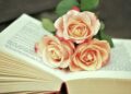 Join the Excitement: Nairobi International Book Fair Set to Welcome 60,000 Book Enthusiasts!
