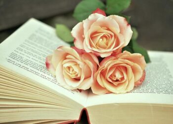 Join the Excitement: Nairobi International Book Fair Set to Welcome 60,000 Book Enthusiasts!