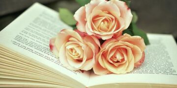Join the Excitement: Nairobi International Book Fair Set to Welcome 60,000 Book Enthusiasts!