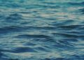 Uncovering the Secrets: The Impact of Waves on Sediment Accumulation in American Samoa’s Coral Reefs