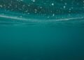 Unveiling Hidden Wonders: Astonishing Transformations Beneath the Adriatic Sea