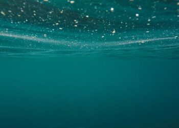 Unveiling Hidden Wonders: Astonishing Transformations Beneath the Adriatic Sea