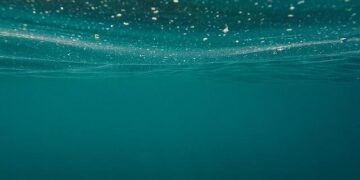 Unveiling Hidden Wonders: Astonishing Transformations Beneath the Adriatic Sea