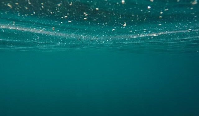 Unveiling Hidden Wonders: Astonishing Transformations Beneath the Adriatic Sea