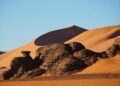 Algeria and Mali Renew Diplomatic Ties, Ending a Year-Long Standoff!