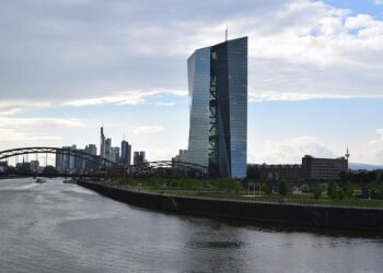 Egypt’s Central Bank Holds Steady on Interest Rates: Implications for the Economy Ahead