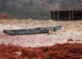 Yemen’s Humanitarian Catastrophe: Over 112,000 Displaced as Thousands Flee to Djibouti