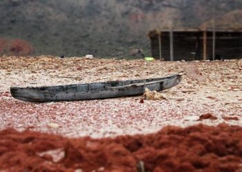 Yemen’s Humanitarian Catastrophe: Over 112,000 Displaced as Thousands Flee to Djibouti