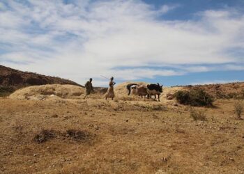 Unlocking Change: The Impact of Eased Sanctions on Eritrea’s Ruling Party and Military