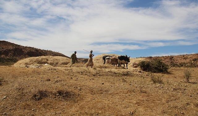 Unlocking Change: The Impact of Eased Sanctions on Eritrea’s Ruling Party and Military
