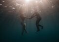 Unforgettable Voyage: A Woman’s Epic Swim Around the Breathtaking St. Helena!