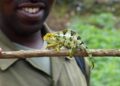 Rwanda 2026: A Transformative Journey in Human Rights