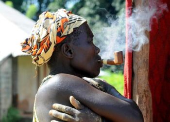Guinea-Bissau Faces Crucial Decision: Will Presidential Powers Expand?