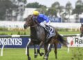 Godolphin Celebrates a Major Win with a Dazzling 4.6m Guinea Colt from Night Of Thunder!