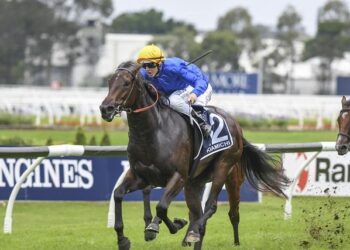 Godolphin Celebrates a Major Win with a Dazzling 4.6m Guinea Colt from Night Of Thunder!