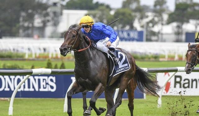 Godolphin Celebrates a Major Win with a Dazzling 4.6m Guinea Colt from Night Of Thunder!