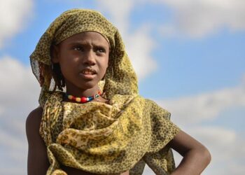 Ethiopia Seeks Red Sea Access as Regional Tensions Escalate