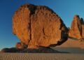 Algeria Faces Rising Dissent Over Controversial Death Penalty for Wildfire Arsonists