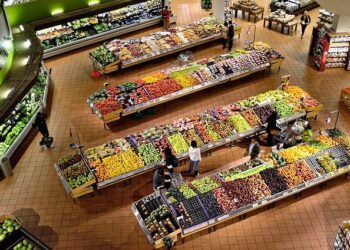 Decoding the Grocery Price Surge: What It Means for American Families