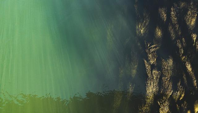 Is the Mysterious Underwater Object the Key to Unraveling a Missing Aviator’s Fate?