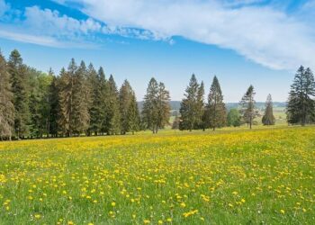Swiss Citizens Embrace Pension Boost: The Funding Challenge Ahead!