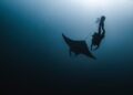 Unearthing the Past: Divers Discover 11 Tonnes of WWII Munitions in Tuvalu!