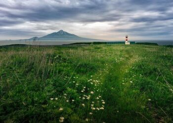 Secrets of an Isolated Island: Where Cousins Marry and Begin Families by Age 12
