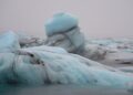 Iceland’s Daring Decision: Choosing Fish Over European Ties