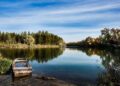 Slovakia’s Bold Move: What the Lifting of Diesel Fuel Export Ban Means for Future Energy Policies