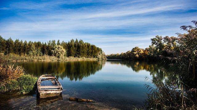 Slovakia’s Bold Move: What the Lifting of Diesel Fuel Export Ban Means for Future Energy Policies
