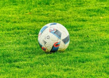 From Underdogs to Icons: The Inspiring Journey of Bosnia and Herzegovina’s National Football Team