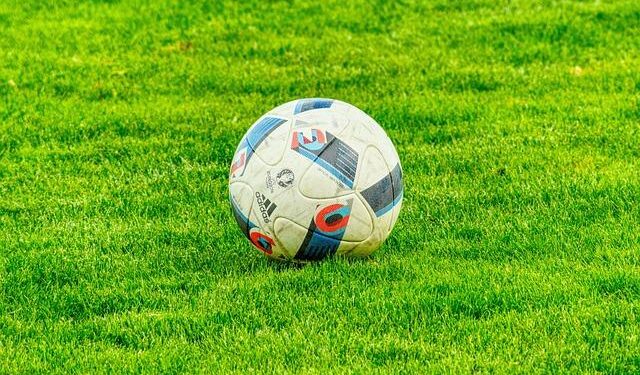 From Underdogs to Icons: The Inspiring Journey of Bosnia and Herzegovina’s National Football Team