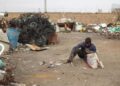 Transforming Waste Management: Gambian Vice President Showcases the Game-Changing Zoomlion Partnership