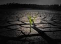 Transforming Lives: Exciting New Climate-Resilience Investments for Rural Communities in Eritrea, Kiribati, and Malawi