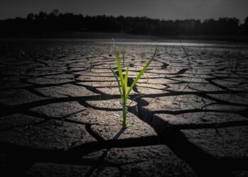 Transforming Lives: Exciting New Climate-Resilience Investments for Rural Communities in Eritrea, Kiribati, and Malawi