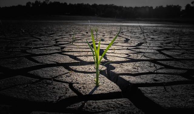 Transforming Lives: Exciting New Climate-Resilience Investments for Rural Communities in Eritrea, Kiribati, and Malawi