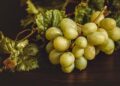 Unleash Your Inner Winemaker: Dive into the Joy of Grape Stomping in Portugal’s Douro Valley!